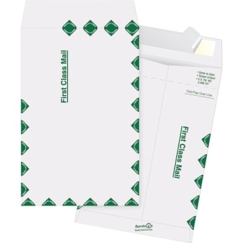 Image for Quality Park® First Class Envelopes, 9"W x 12"L, Box Of 100 from HD Supply