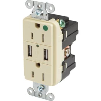 Image for Hubbell® 15 Amp 125 Volt Hospital-Grade Duplex Standard Outlet (Ivory) from HD Supply