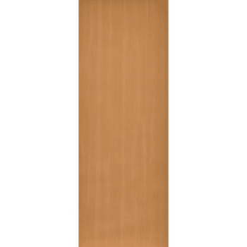 Image for 32 x 80 in. 1-3/8 in. Thick Hollow Core Slab Door (Coastal Hemlock) from HD Supply