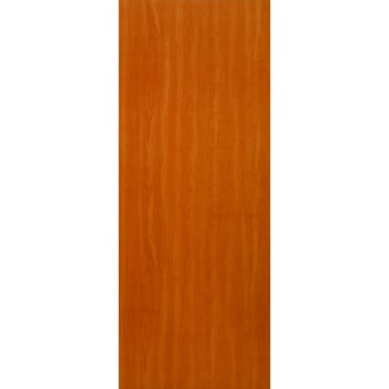 Image for 24 x 80 in. 1-3/8 in. Thick Hollow Core Slab Door (Spiced Ash) from HD Supply