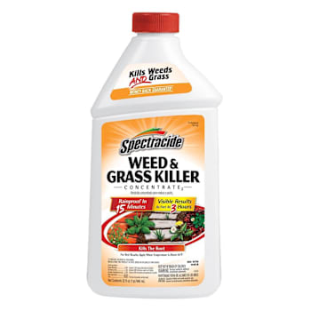 Spectracide 32 Oz. Concentrate Weed And Grass Killer