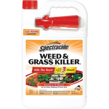 Image for Spectracide 1 Gallon Ready-To-Use Weed And Grass Killer from HD Supply