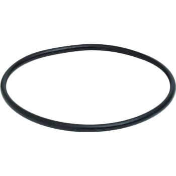 Image for Pentair 350013 Challenger Pump Trap Lid O-Ring from HD Supply
