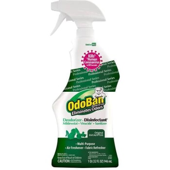 Image for Odoban 32 Oz Eucalyptus Scent Deodorizer Disinfectant (12-Case) from HD Supply