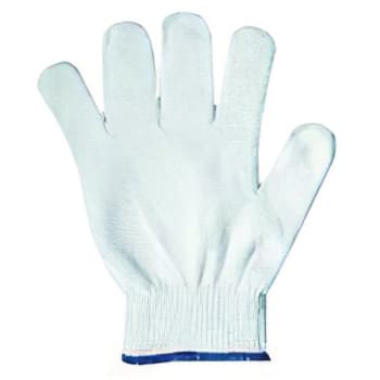 Ansell Large Nylon Low Lint Inspection Glove With Standard Cuff Pack Of 10 Pair