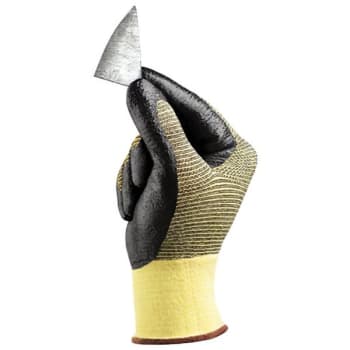 Image for Ansell HyFlex X-Large Kevlar Light Duty Nitrile Palm Coated Glove Pack Of 5 Pair from HD Supply