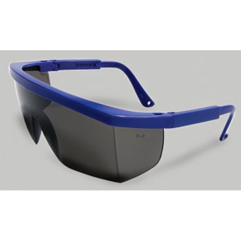 Image for Radnor Retro Series Gray Lens Blue Frame Safety Glasses, Package of 12 from HD Supply