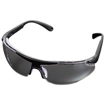 Image for Radnor Rad64051602 Elite Plus Series Clear Black Frame Safety Glasses Pack Of 2 from HD Supply