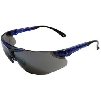 Image for Radnor Elite Series Silver Mirror Blue Frame Safety Glasses, Package of 2 from HD Supply
