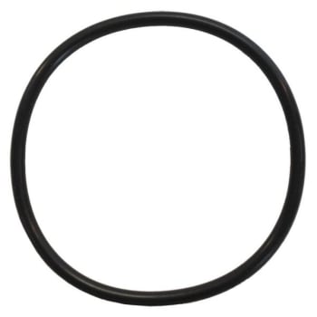 Image for Rainbow Viton Chlorinator Lid O-Ring from HD Supply