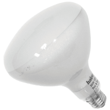 Image for Super-Pro 500w Incandescent Reflector Bulb from HD Supply