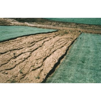 Image for Dewitt Erosion Control Blanket, Excelsior from HD Supply
