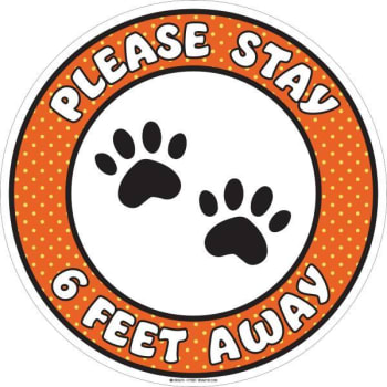 Image for Brady® 17 In. "please Stay 6 Feet Away" Kids Paws Vinyl Floor Sign from HD Supply