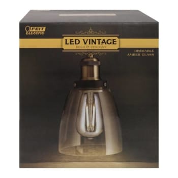 Image for Feit Electric Vintage 6w Pendant Fixture (4-Case) from HD Supply