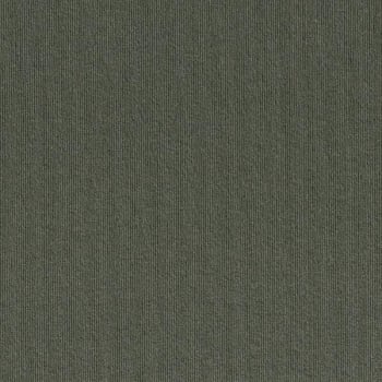 Image for Foss Floors Premium Self-Stick Ridgeline Olive Carpet Tiles, Case Of 15 from HD Supply