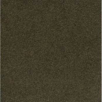Image for Foss Floors Premium Self-Stick Grizzly Grass Pecan Carpet Tiles, Case Of 15 from HD Supply