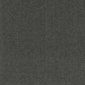 Image for Foss Floors Premium Self-Stick Ridgeline Black Ice Carpet Tiles, Case Of 15 from HD Supply
