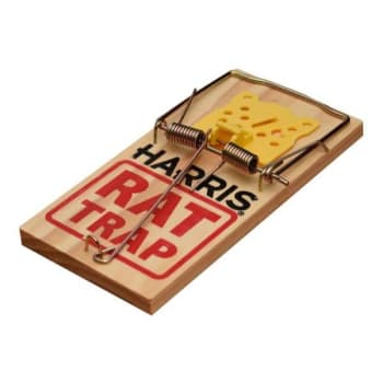 Image for Harris Wooden Rat Traps Package Of  7 from HD Supply