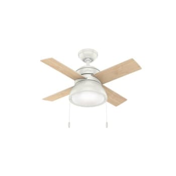 Image for Hunter® Loki 36 In. Led Ceiling Fan W/ Light (White) from HD Supply