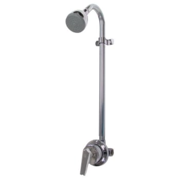 Image for Speakman Sentinel Mark Ii Exposed Shower System (Rough Chrome) from HD Supply