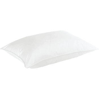 Image for Down Lite Chamber Pillow Queen, Case Of 8 from HD Supply