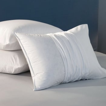 Image for Hollander Pillow Protector Queen, Case Of 12 from HD Supply