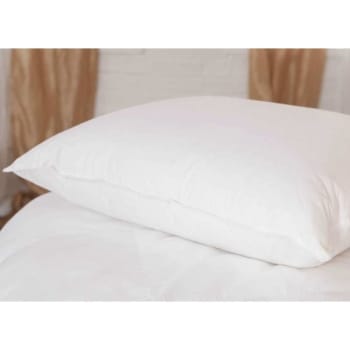 Down Lite 50/50 Pillow Standard, Case Of 10