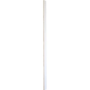 Image for Seasons® 8 Ft. Scribe Molding White from HD Supply