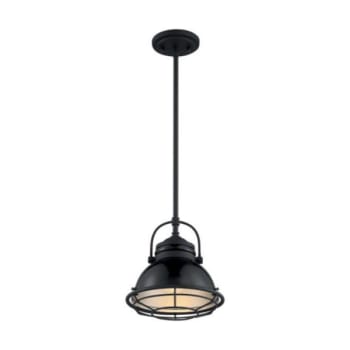 Image for Satco® Upton 1 Light Small Pendant Fixture, Gloss Black, Silver, Black Accents from HD Supply