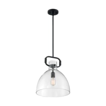Image for SATCO® Teresa 1-Light Bell Pendant Fixture, Matte Black Finish With Clear Glass from HD Supply