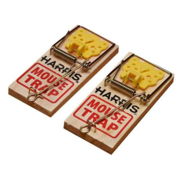 Image for Harris Wooden Mouse Trap (2-Pack) from HD Supply