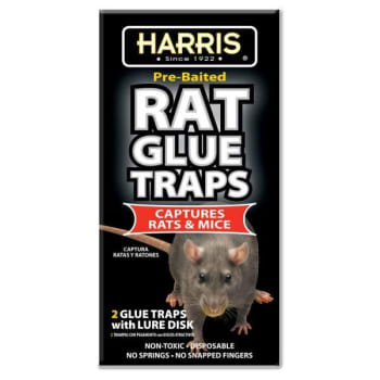 Image for Harris Pre-Baited Rat Glue Traps (2-Pack) from HD Supply