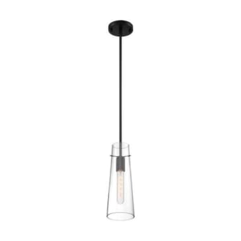 Image for SATCO® Alondra 1 Light Mini Pendant Fixture, Black Finish With Clear Glass from HD Supply