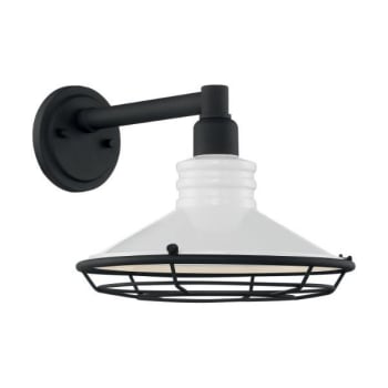 Image for Satco® P560029-031-30 Blue Harbor Outdoor Wall Sconce from HD Supply