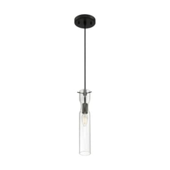 Image for SATCO® Spyglass 1 Light Mini Pendant Fixture, Black Finish With Clear Glass from HD Supply
