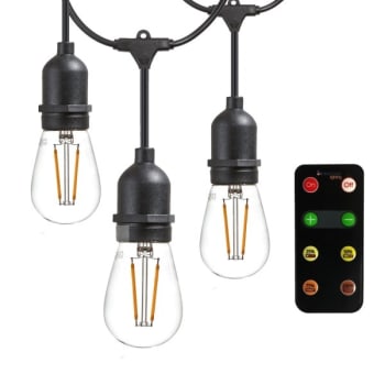 Image for Newhouse Lighting 15-Light 48 Ft Outdoor Led String Light W/ Remote Control Dimmer (Black) from HD Supply