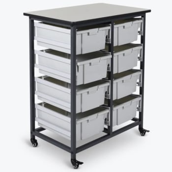 Image for Luxor Mobile Bin Storage Unit - Double Row - Large Bins from HD Supply