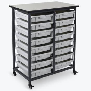 Image for Luxor Mobile Bin Storage Unit,double Row,  Small Bins from HD Supply