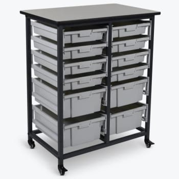 Image for Luxor Mobile Bin Storage Unit - Double Row - Small Bins from HD Supply