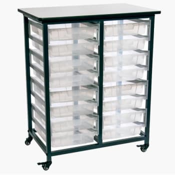 Luxor Mobile Bin Storage Unit - Double Row With Small Clear Bins