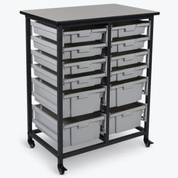 Image for Luxor Mobile Bin Storage Unit - Double Row With Large And Small Clear Bins from HD Supply