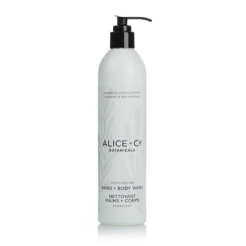 Image for Alice Body Wash For Marriott 360ml, Case Of 20 from HD Supply