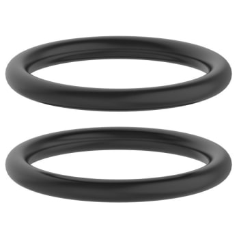 Image for Seasons® O-Ring For Seasons® Faucets, Package Of 20 from HD Supply