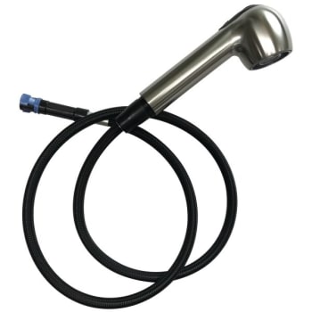 Image for Seasons® Spray Head And Hose, Stainless Steel Finish For Pull-Out Kitchen Faucet from HD Supply