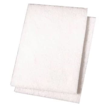Image for Renown Light-Duty Scour Pad, Package Of 20 from HD Supply