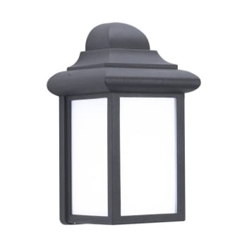 Sea Gull Lighting® Mulberry Hill 8.75 In. 1-Light Outdoor Lantern (Black/white)