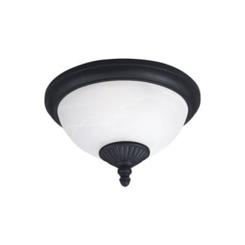Image for Sea Gull Lighting® Yorktown 2-Light Outdoor Ceiling Light (Forged Iron) from HD Supply