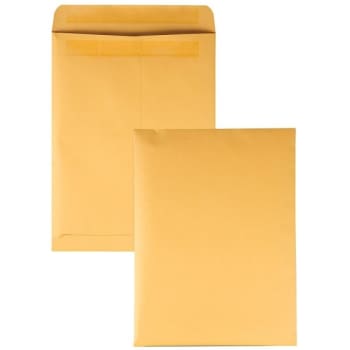Image for Quality Park® Redi Seal Brown Kraft Catalog Envelope 9" X 12", Box Of 250 from HD Supply