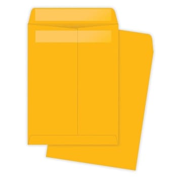 Image for Quality Park® Redi Seal Brown Kraft Catalog Envelope 9-1/2" X12-1/2", Box Of 250 from HD Supply