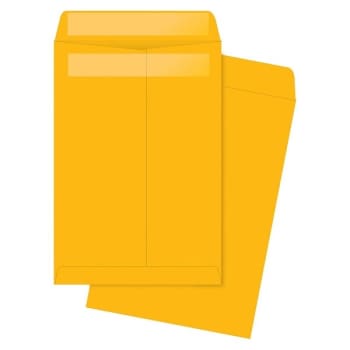 Image for Quality Park® Redi Seal Kraft Catalog Envelope 6-1/2" X 9-1/2", Box Of 250 from HD Supply